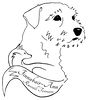 Finnabair-Anu Russell Terriers
